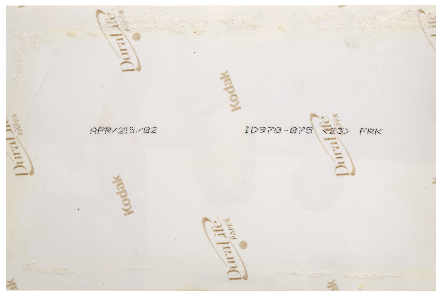 Roman Kaplan, Nicole Kidman and Philip Roth. Original photography.