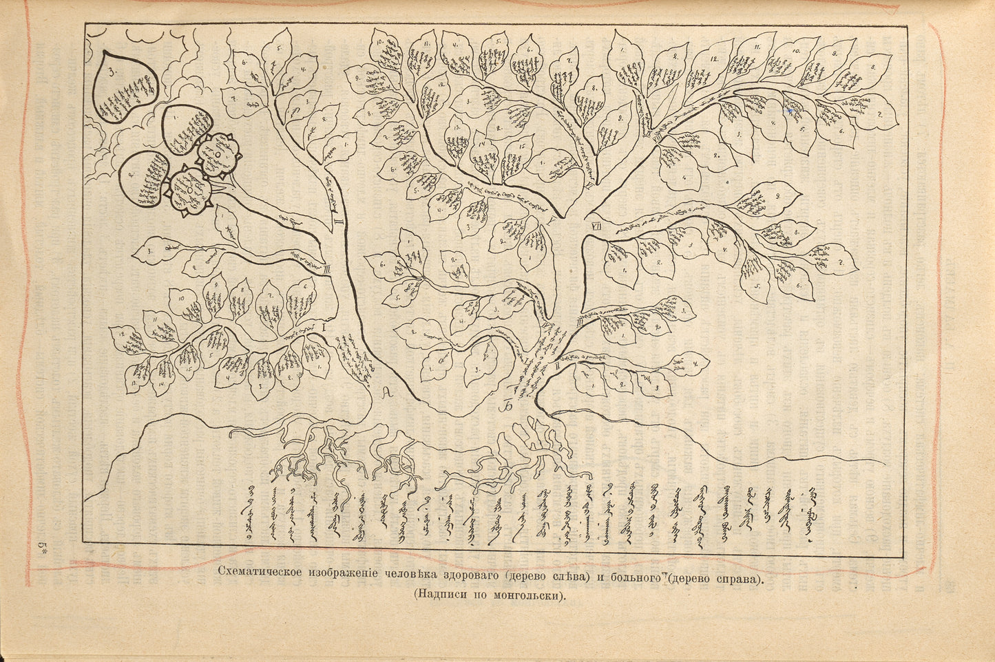 The Main Guide to the Medical Science of Tibet Gyushi. Rare translation by the godson of Alexander III.