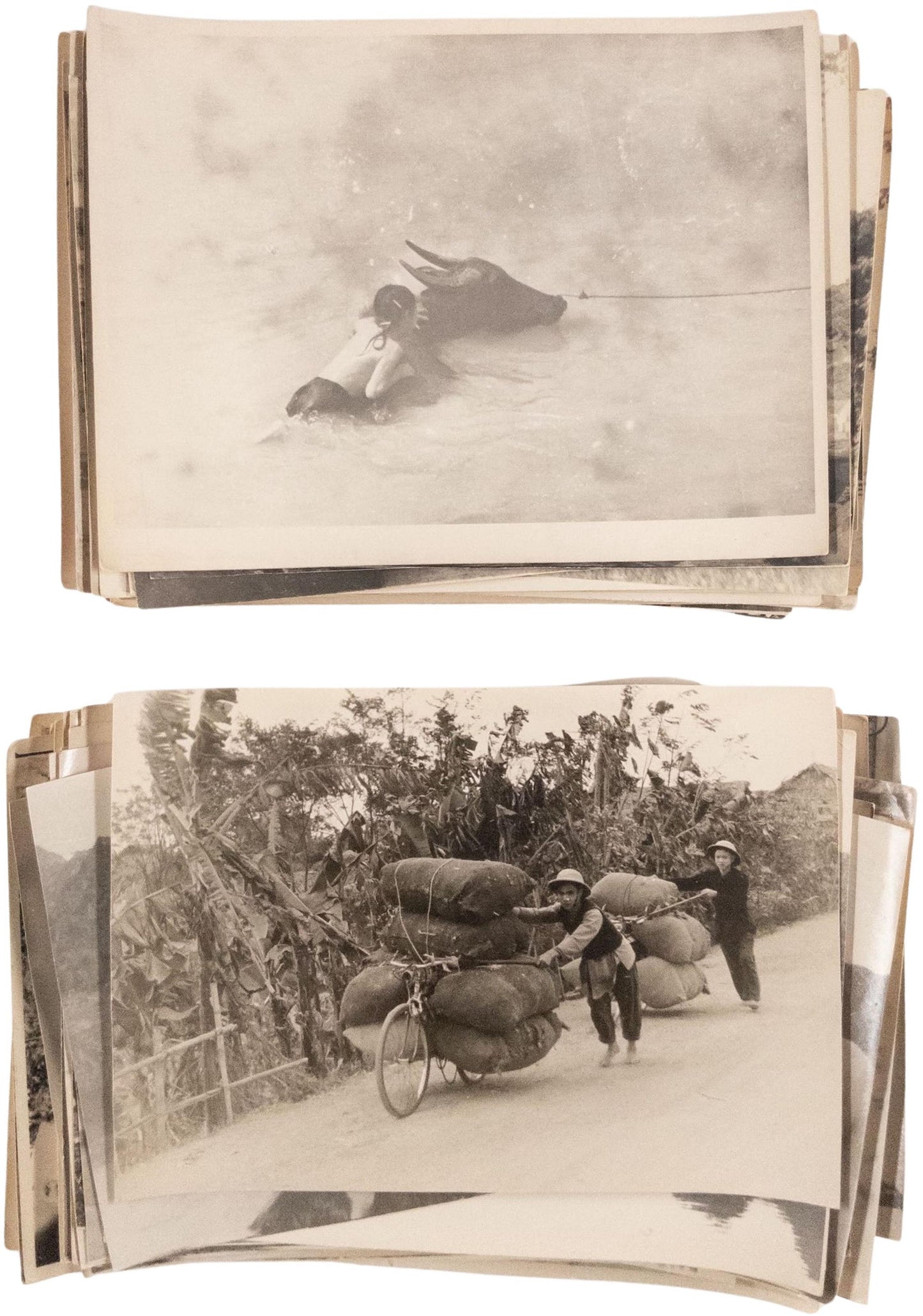 Vietnam: A Photographic Collection from a Soviet Scientist’s Archive. Vietnam in the early 1960s