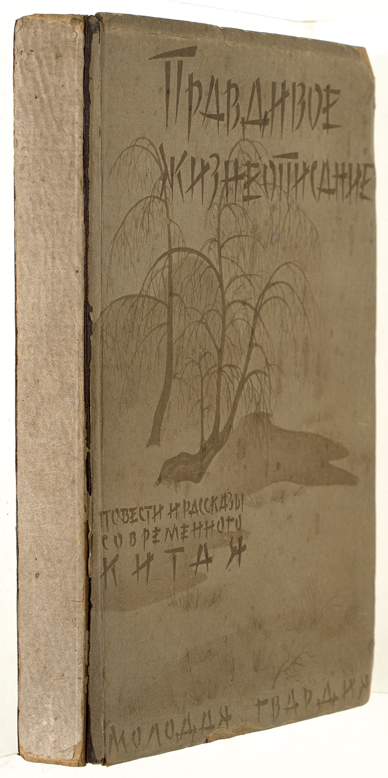 True Biography: Novels and Stories. Chinese modern prose in Russian.